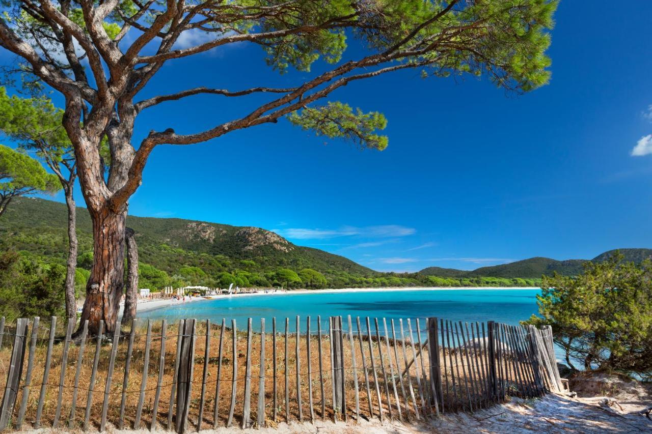 Villa Les Lieges De Palombaggia ปอร์โต-เวคคีโอ ภายนอก รูปภาพ
