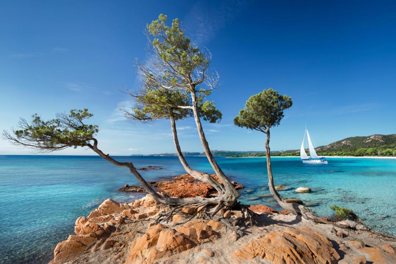 Villa Les Lieges De Palombaggia ปอร์โต-เวคคีโอ ภายนอก รูปภาพ